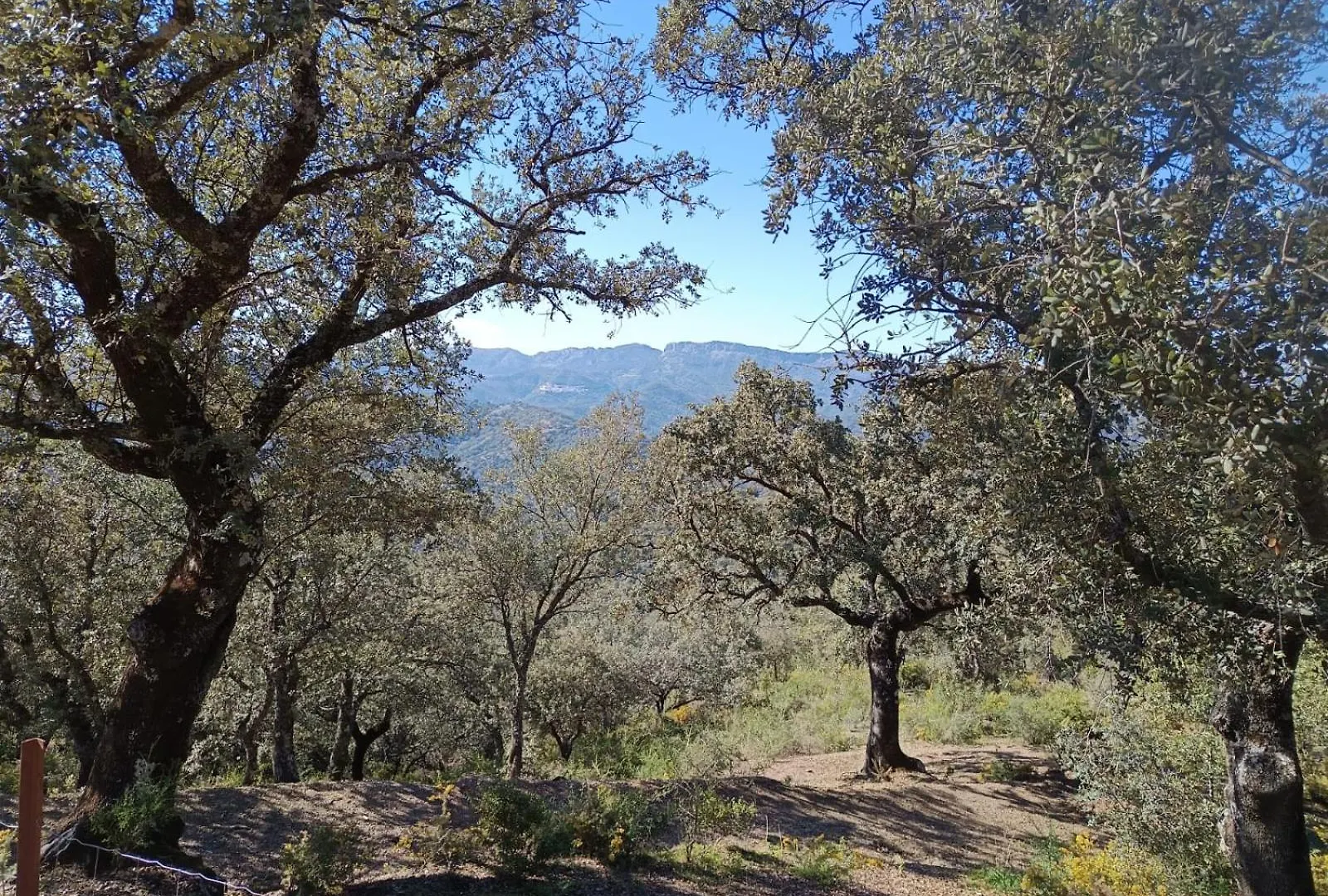 Finca El Cerro Ronda 0*,